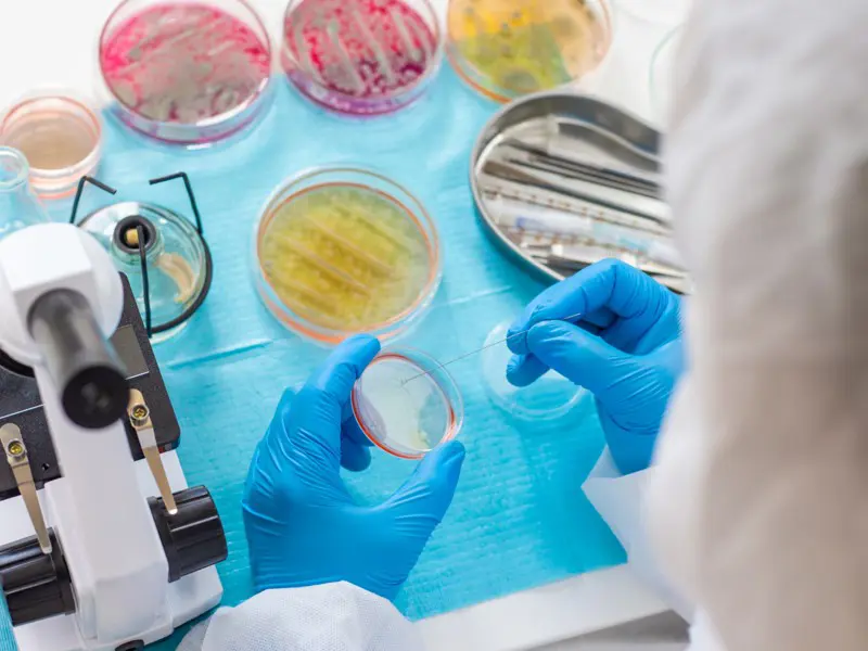 MICROBIOLOGIA I PARASITOLOGIA